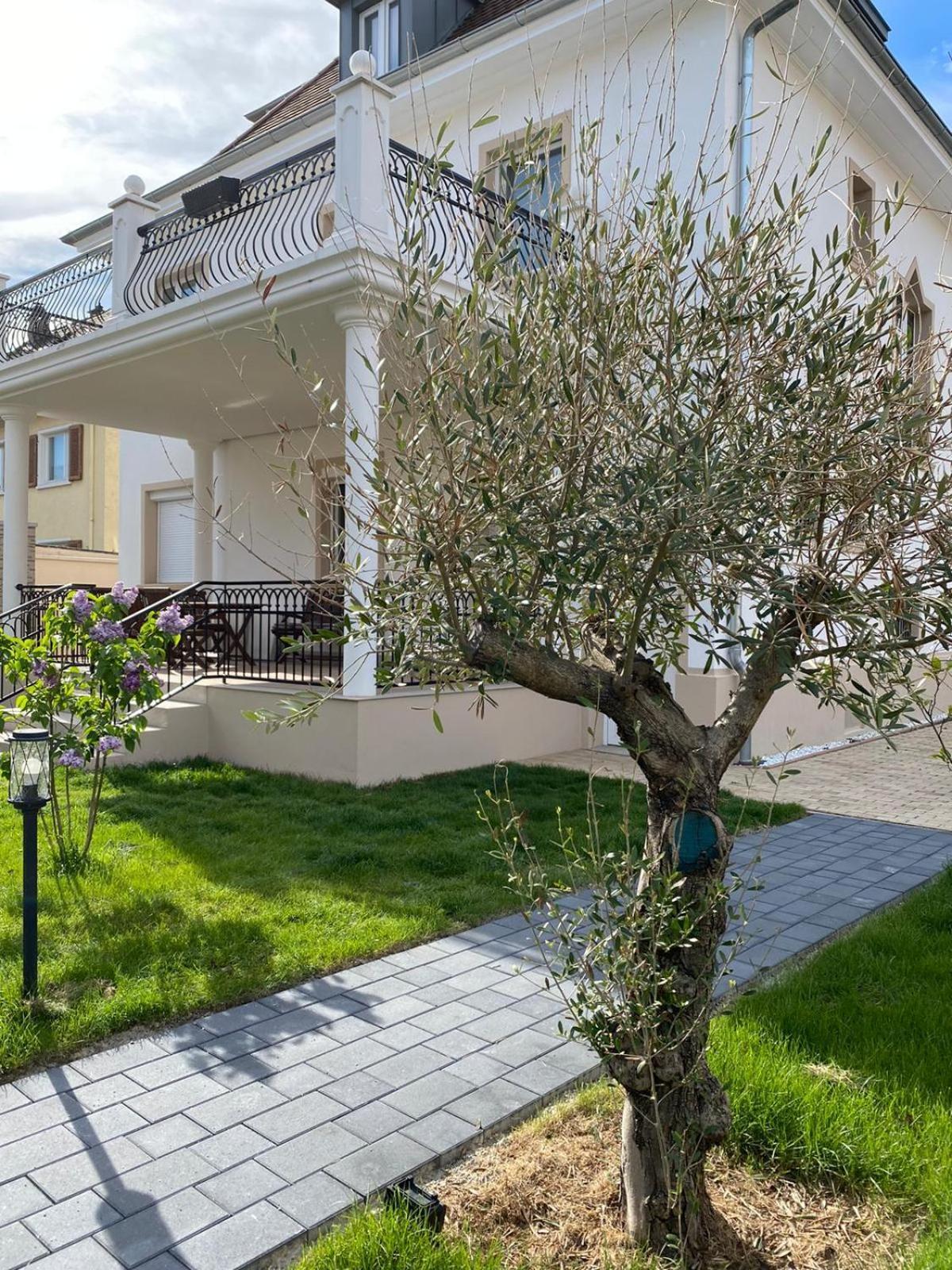Primera Villa Singen  Exterior foto